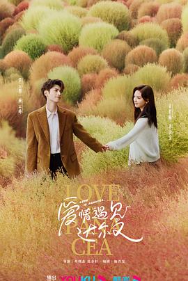 湖北网站营销seo什么价格